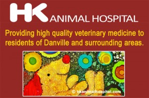 Danville Square – HK Animal Hospital